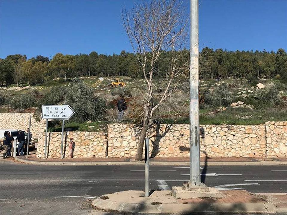 تجريف أراض واقتلاع أشجار زيتون في قرية عين ماهل-4