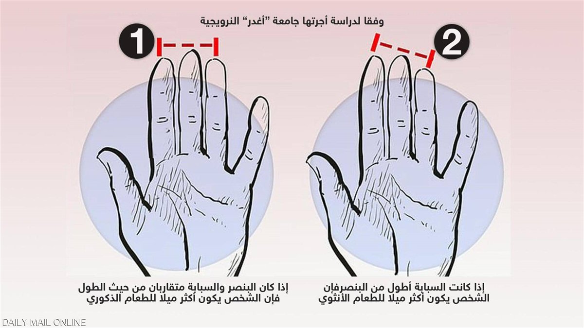 طول أصابع اليد يمكن أن يحدد خياراتنا في تناول الطعام!-0