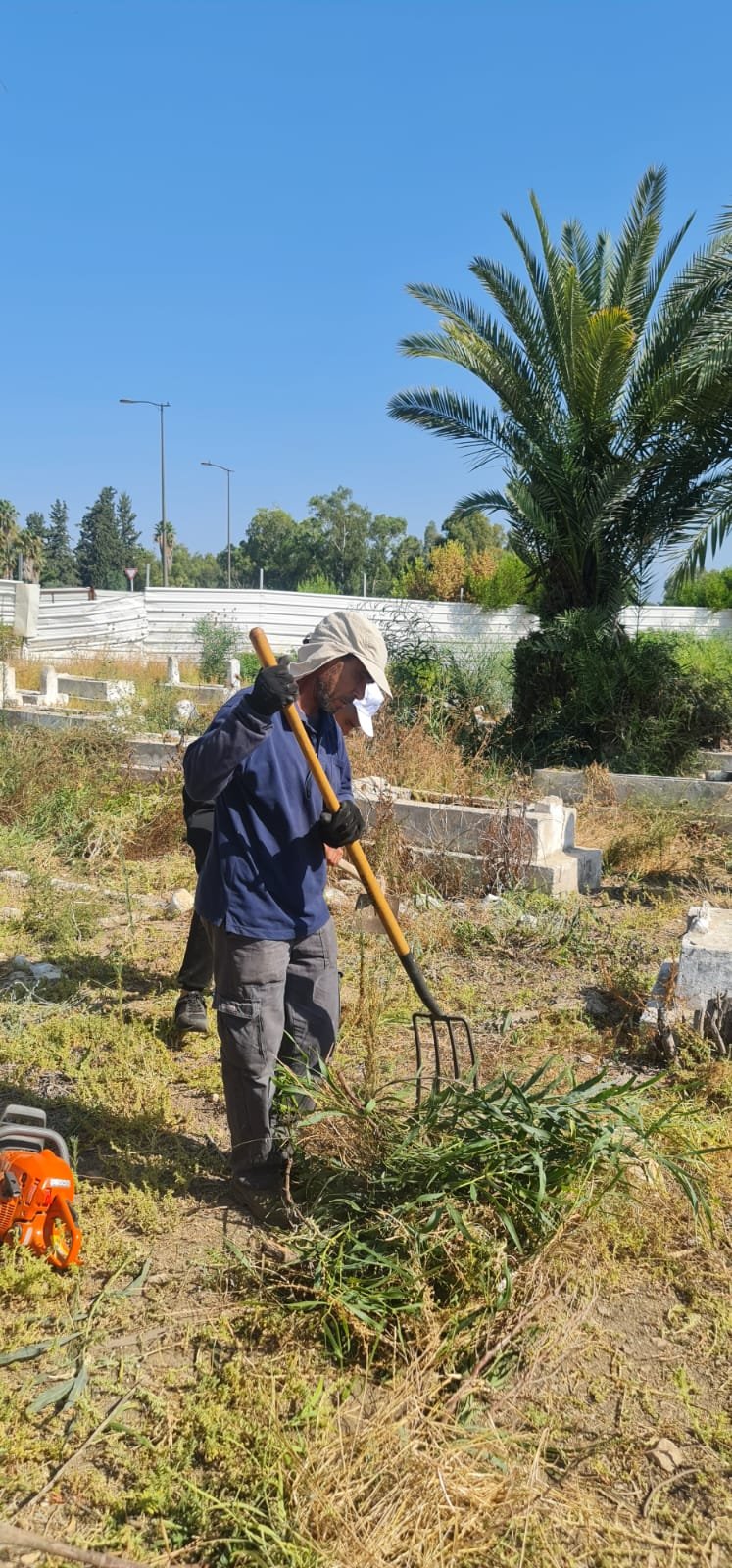 لجنة "أوقافُنا" بالتعاون مع جهات محلية تنظم يوم عمل تطوعي لتنظيف مقبرة القسام-حيفا-0
