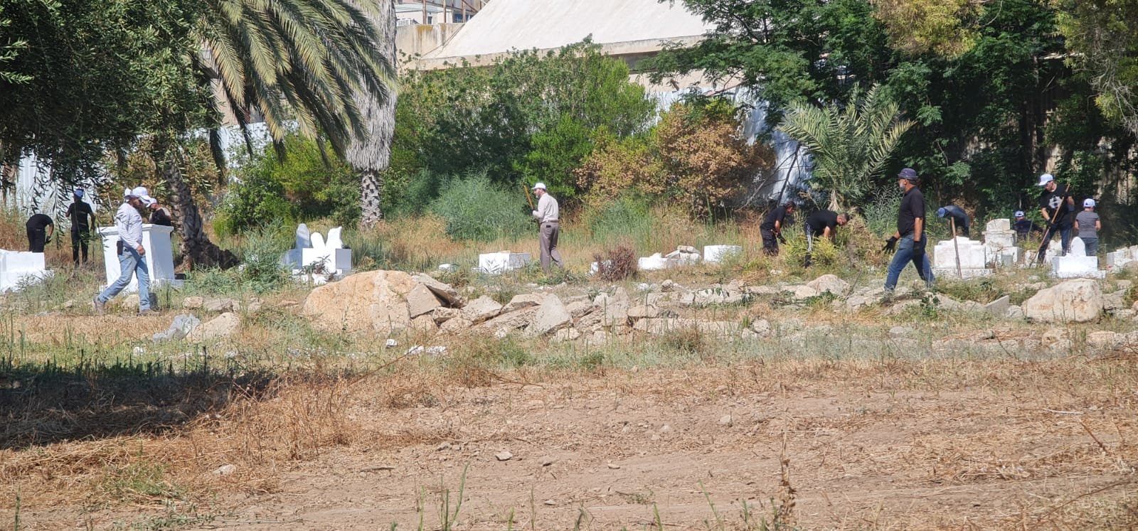 لجنة "أوقافُنا" بالتعاون مع جهات محلية تنظم يوم عمل تطوعي لتنظيف مقبرة القسام-حيفا-7
