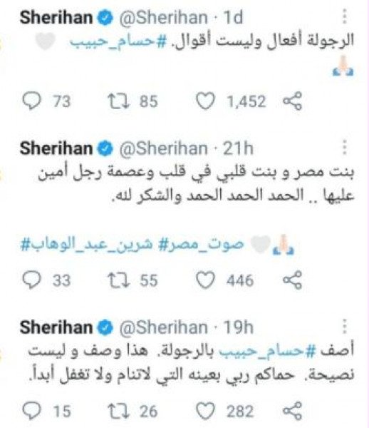 الجمهور يهاجم شريهان بسبب وقوفها مع حسام حبيب "فسروها خطأ"-0