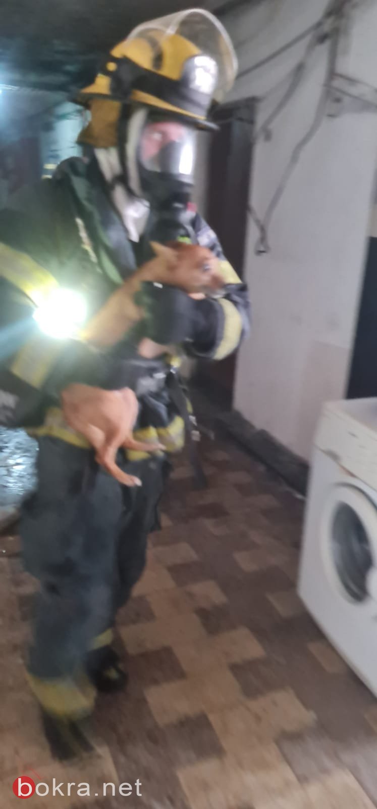 حيفا: اندلاع حريق داخل مبنى، وتخليص أم وأطفالها الثلاثة-1
