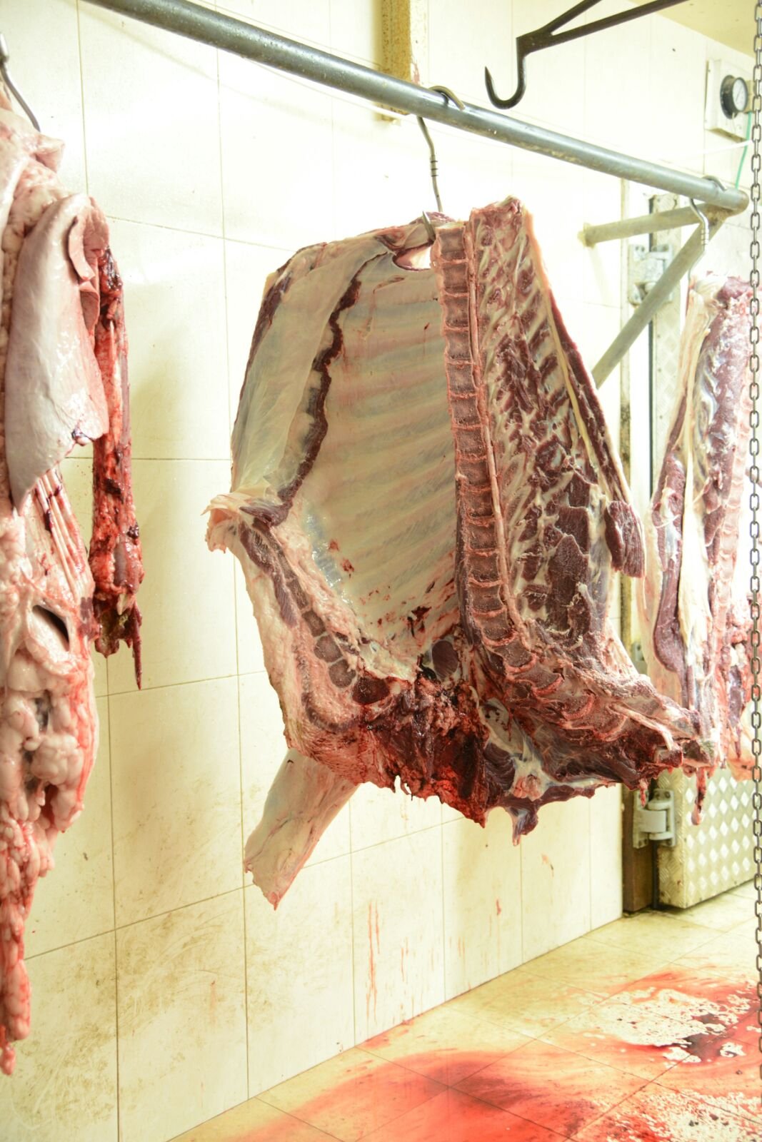 زكاة الناصرة تنفذ مشروع الأضاحي لهذا العام وتوزع نحو 3 أطنان من اللحوم على العائلات المستورة -8