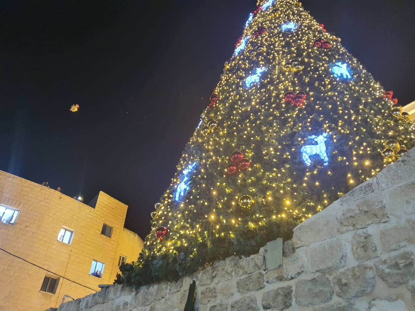 شفاعمرو تعلن قدوم الميلاد بإضاءة شجرة الميلاد-5