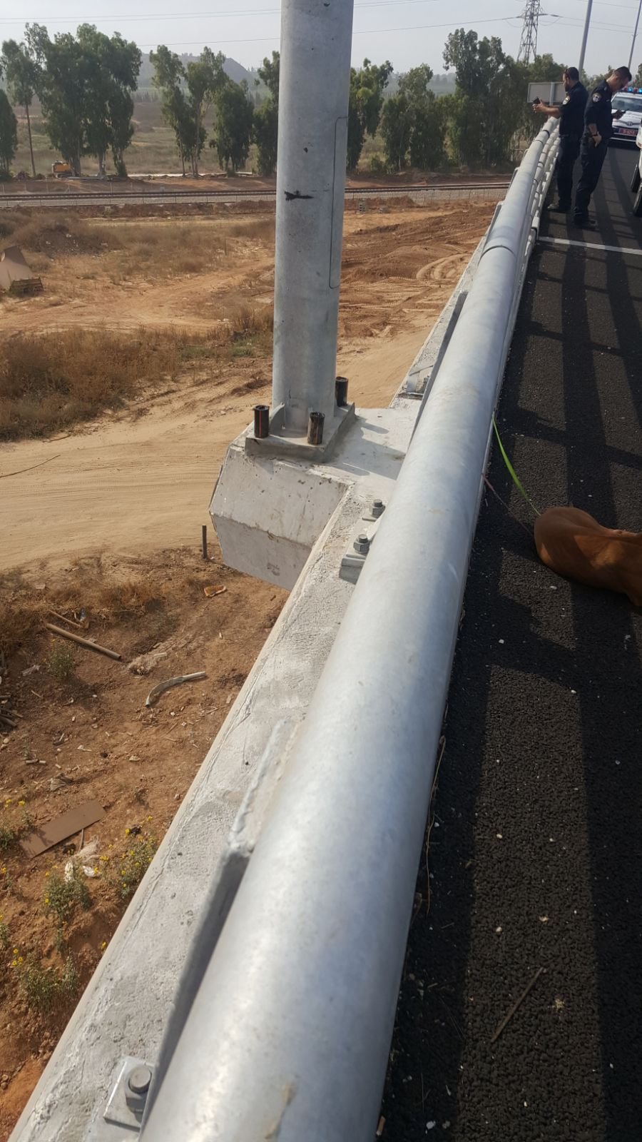 بالصور: شابة تحاول الانتحار قفزًا عن جسر في مركز البلاد-2