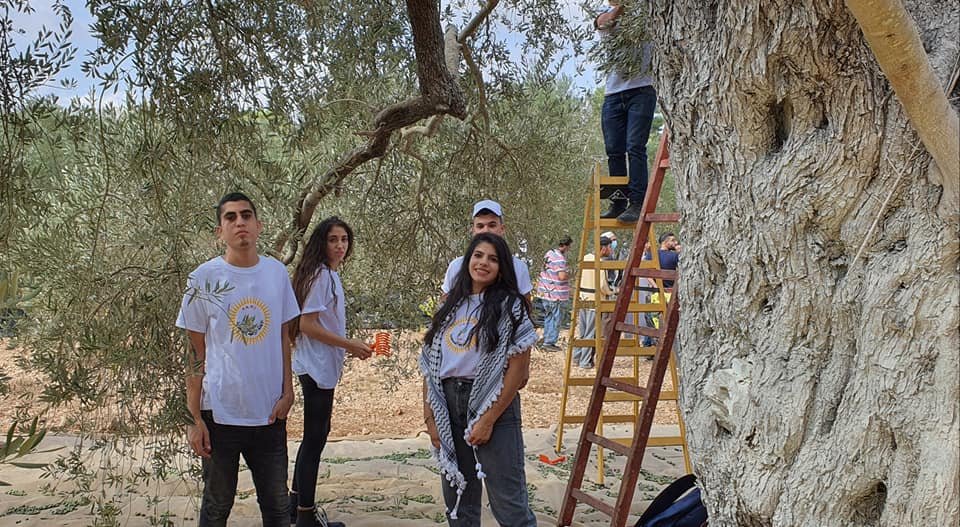 جمعية انماء في عمل تطوعي لقطف الزيتون في القدس-9