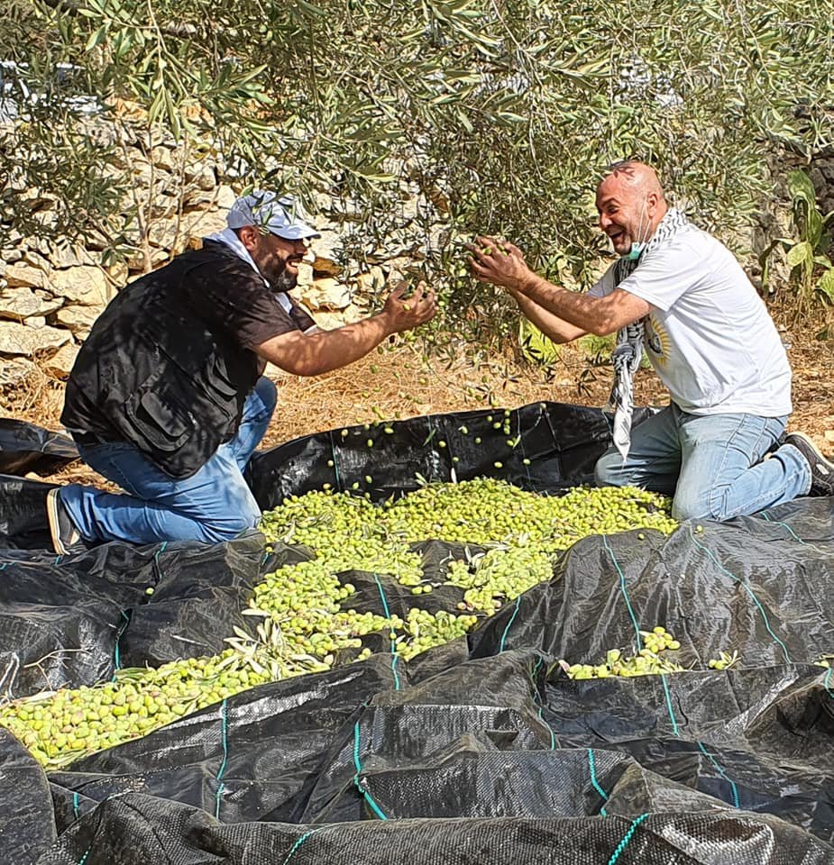 جمعية انماء في عمل تطوعي لقطف الزيتون في القدس-16