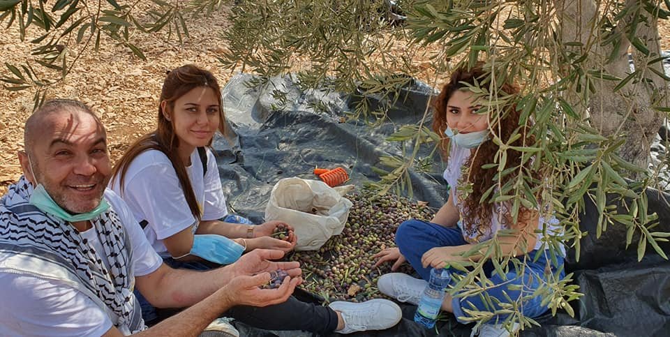 جمعية انماء في عمل تطوعي لقطف الزيتون في القدس-25