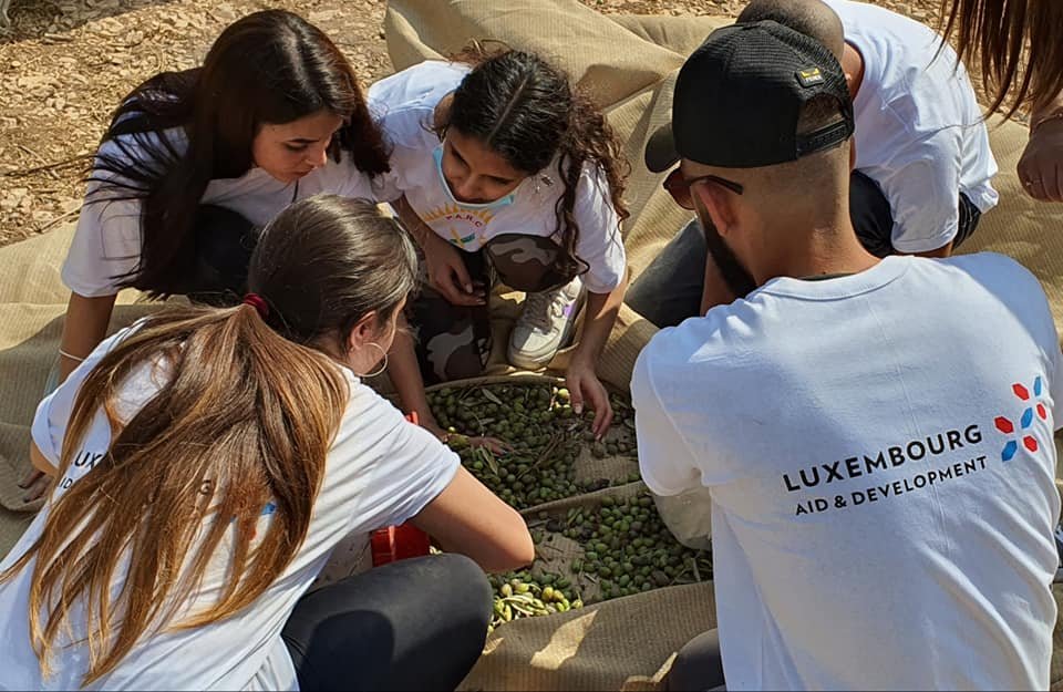 جمعية انماء في عمل تطوعي لقطف الزيتون في القدس-28