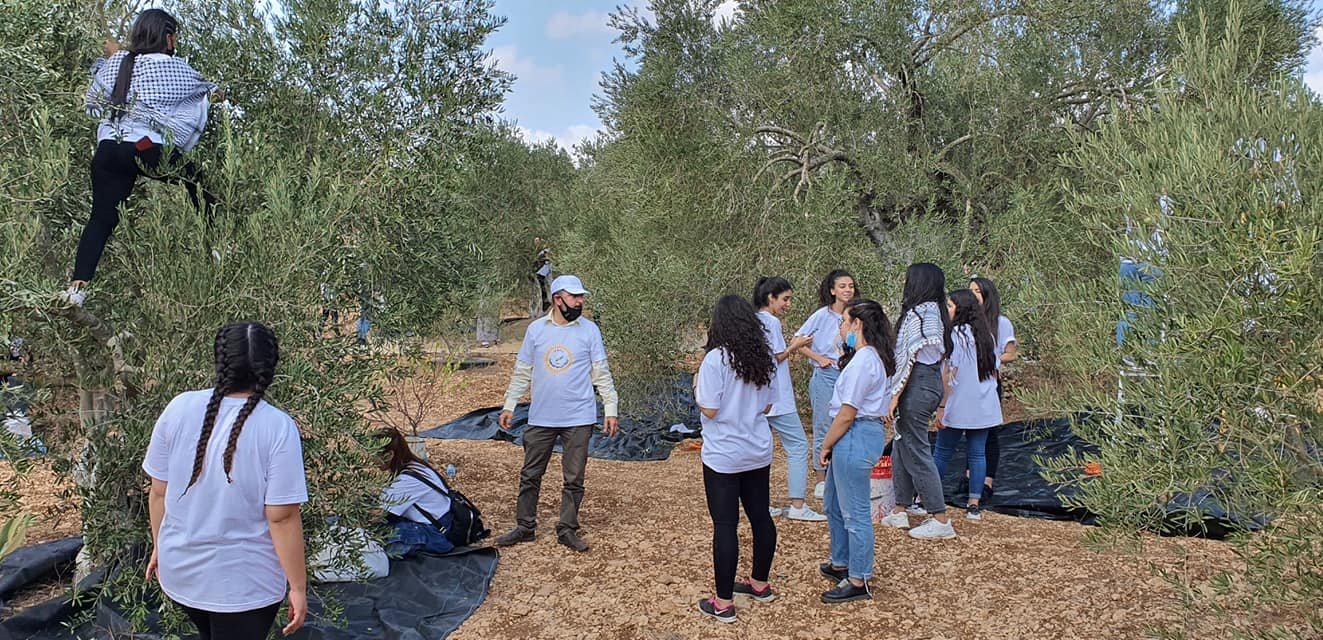 جمعية انماء في عمل تطوعي لقطف الزيتون في القدس-33
