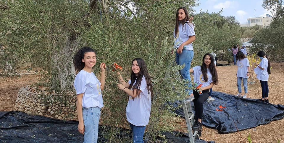 جمعية انماء في عمل تطوعي لقطف الزيتون في القدس-38
