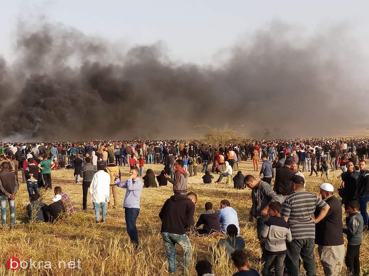 حصاد جمعة الكوشوك: 8 شهداء وأكثر من 1050 اصابة في صفوف الفلسطينيين بغزة-3