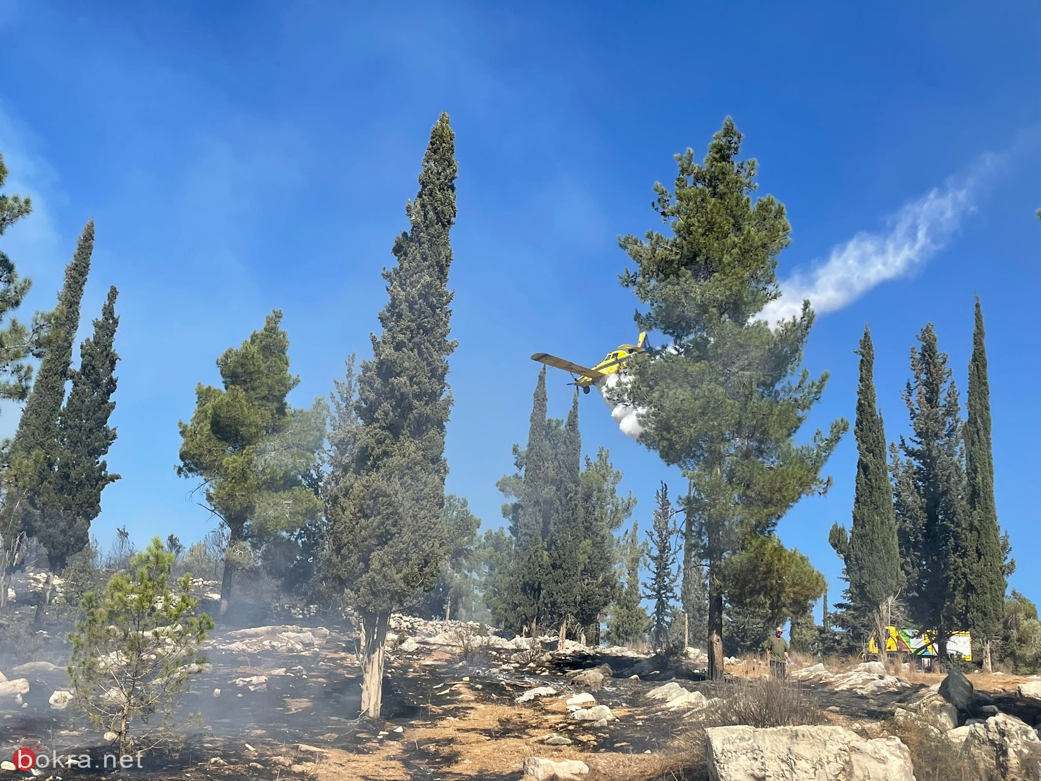 اندلاع حريق في غابة "اشتئول" بمنطقة القدس-2