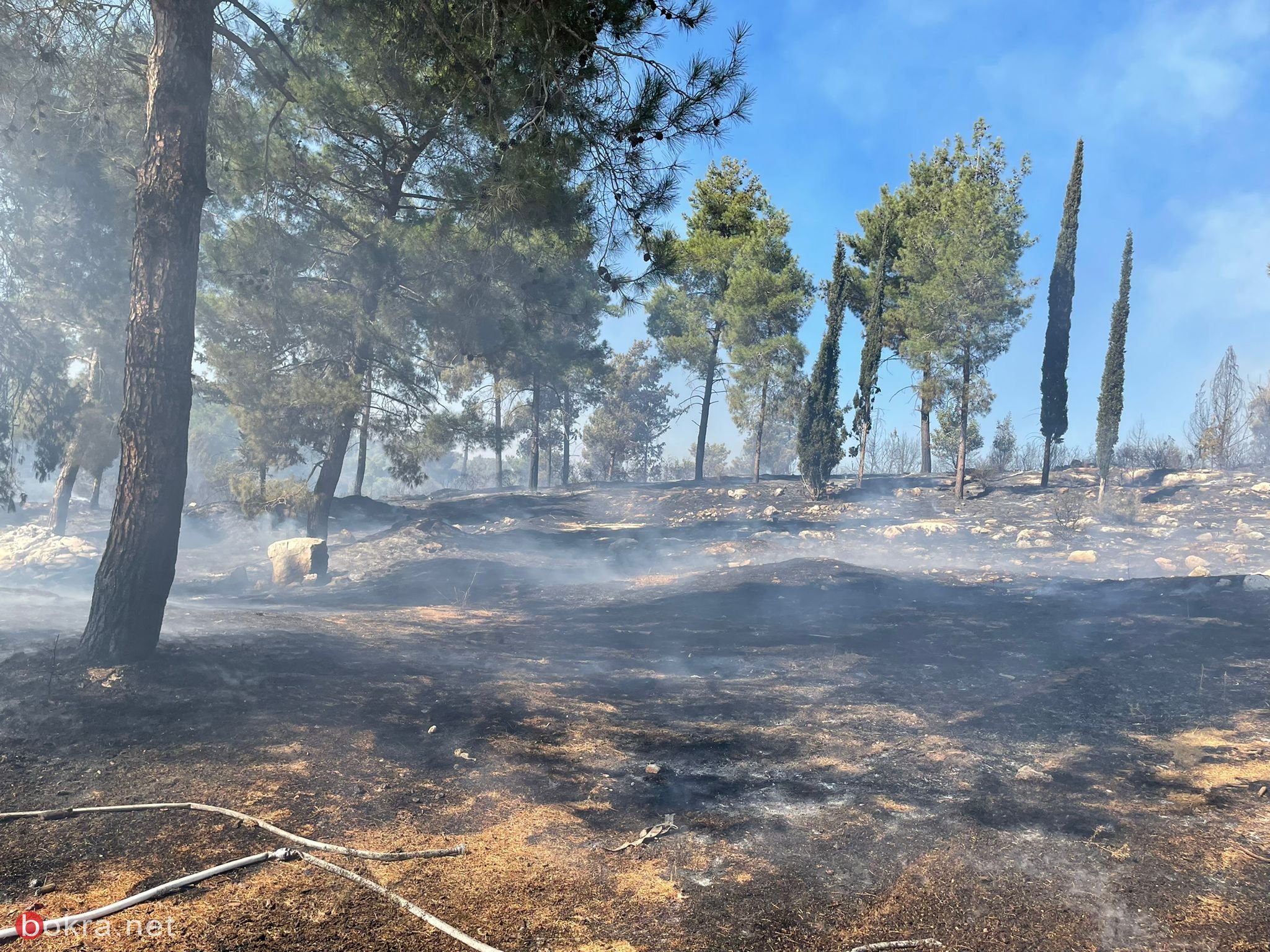 اندلاع حريق في غابة "اشتئول" بمنطقة القدس-4