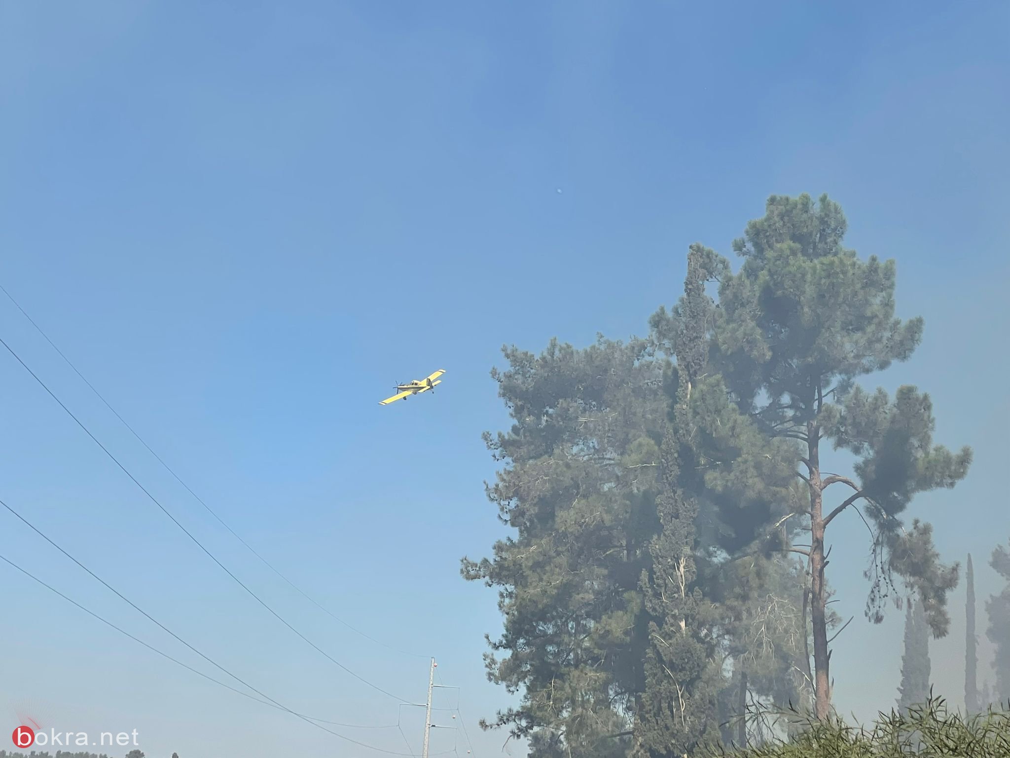 اندلاع حريق في غابة "اشتئول" بمنطقة القدس-5