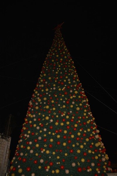 الناصرة تضيء شجرة الميلاد بحفل مميز-10