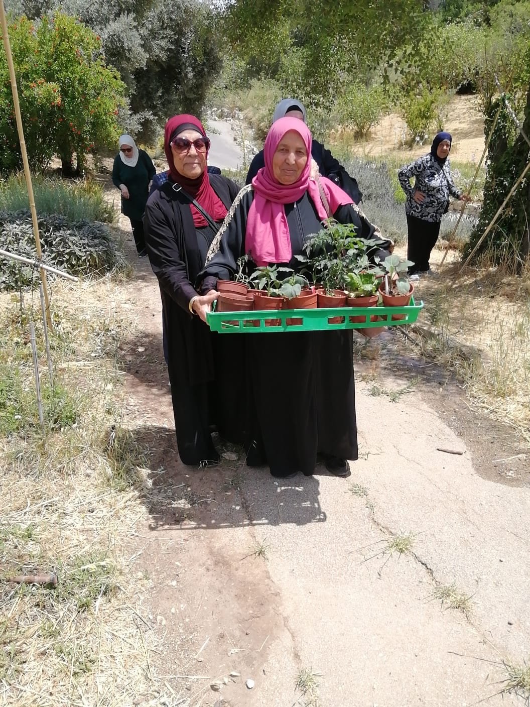 البستنة المجتمعية في القدس الشرقية: انتهى مشروع البستنة التدريبي لكبار السن-1