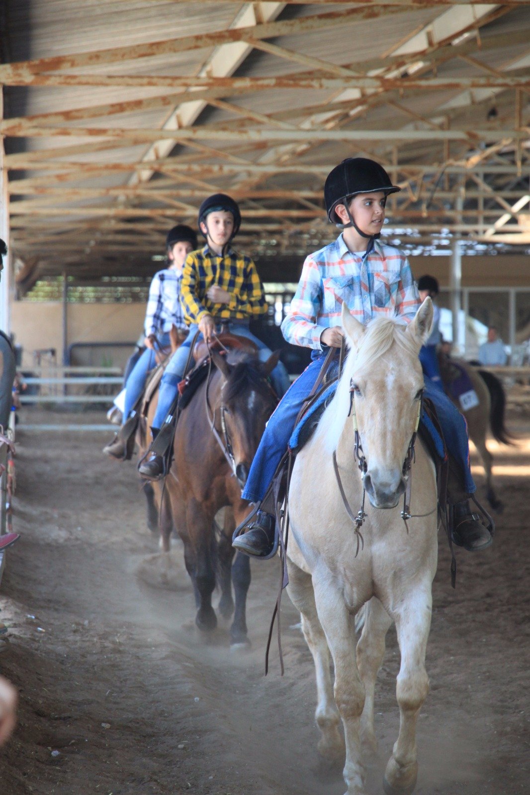 نتائج مشرفة ورائعة يسجلها طلاب مربط ابو ماجد للخيول في ام الفحم خلال مسابقة قطرية في كيبوتس "مجال"-0