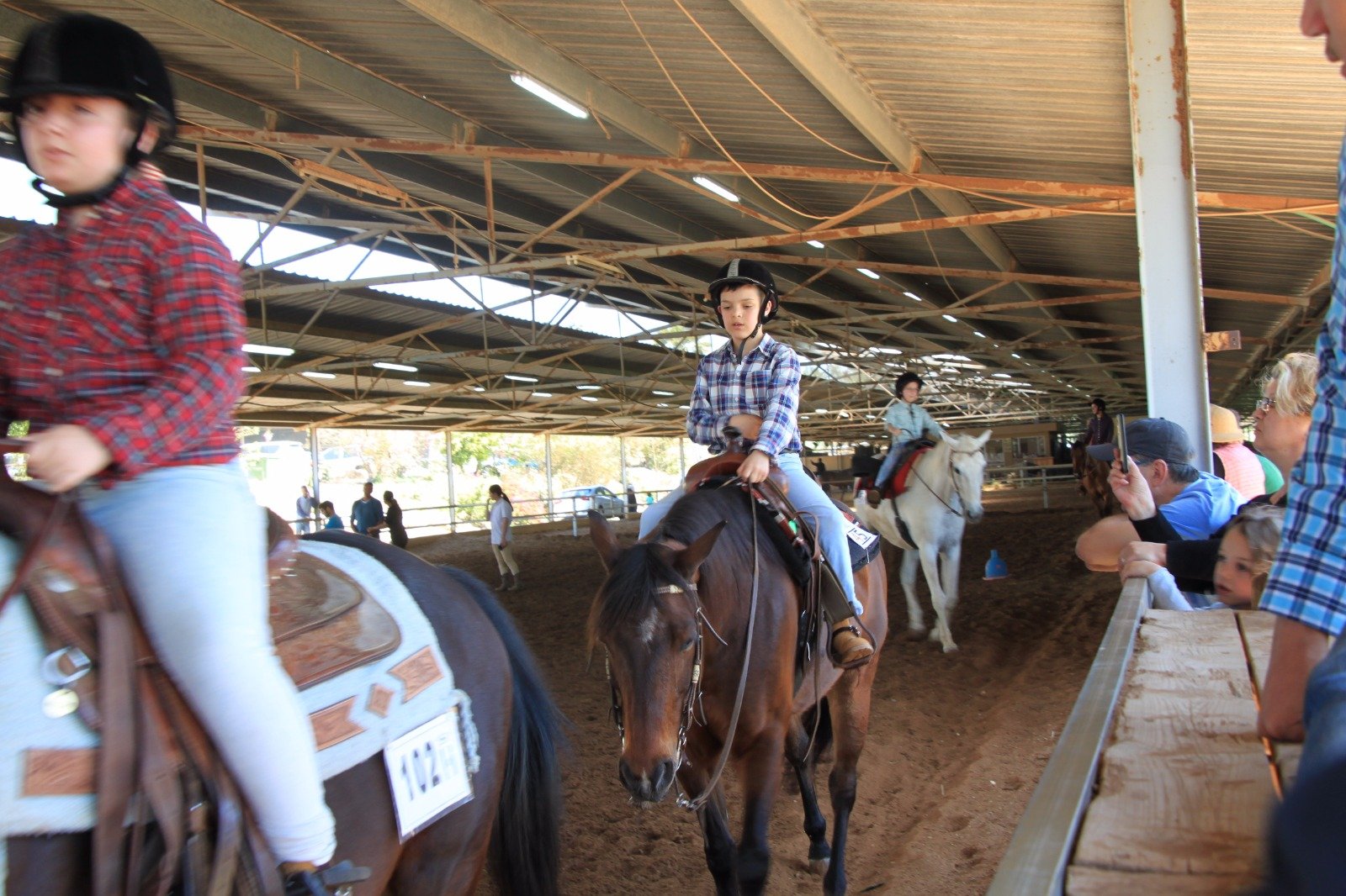 نتائج مشرفة ورائعة يسجلها طلاب مربط ابو ماجد للخيول في ام الفحم خلال مسابقة قطرية في كيبوتس "مجال"-4