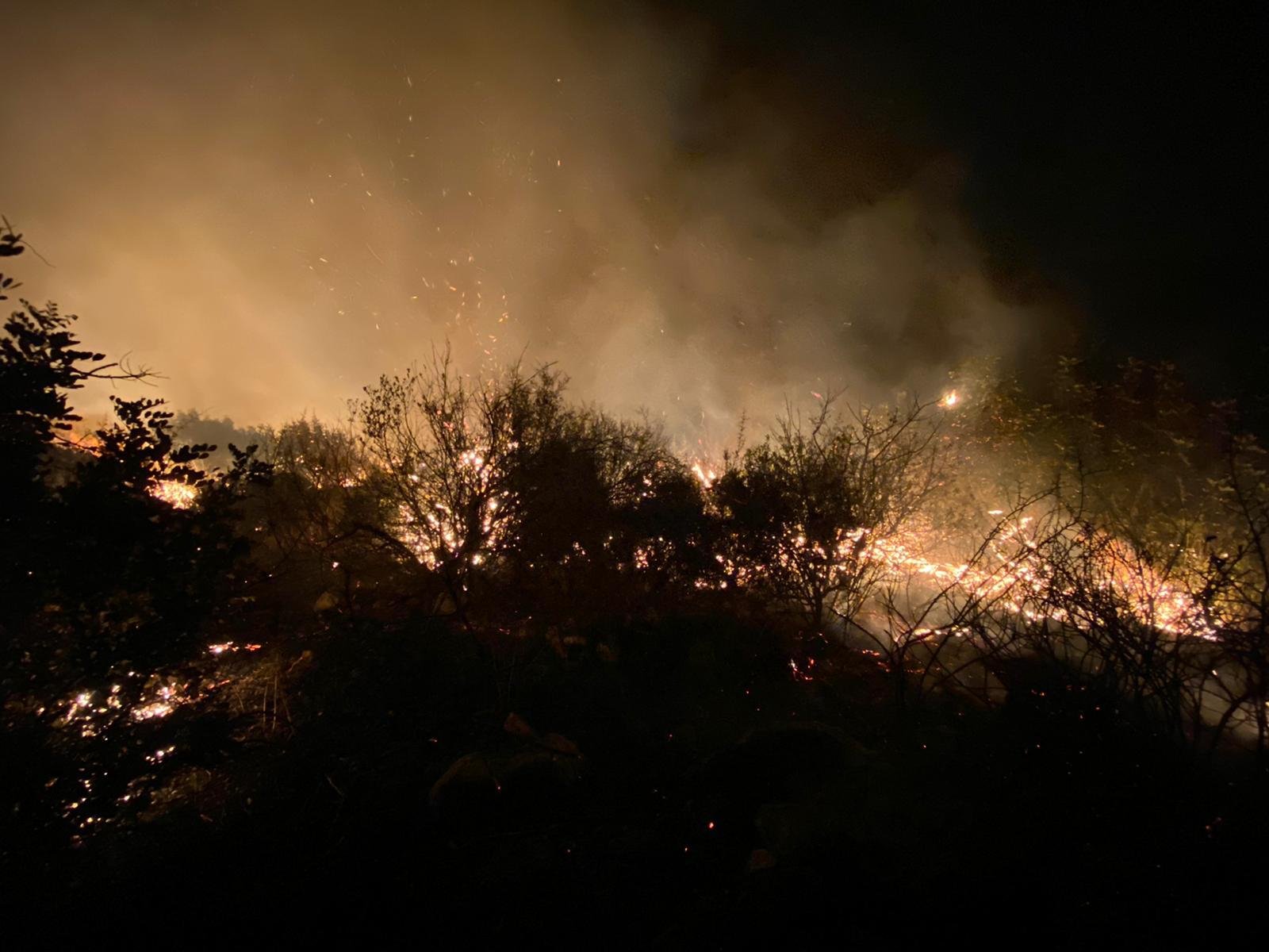 أم الفحم: اندلاع حريق في منطقة حرشية الليلة الماضية-1