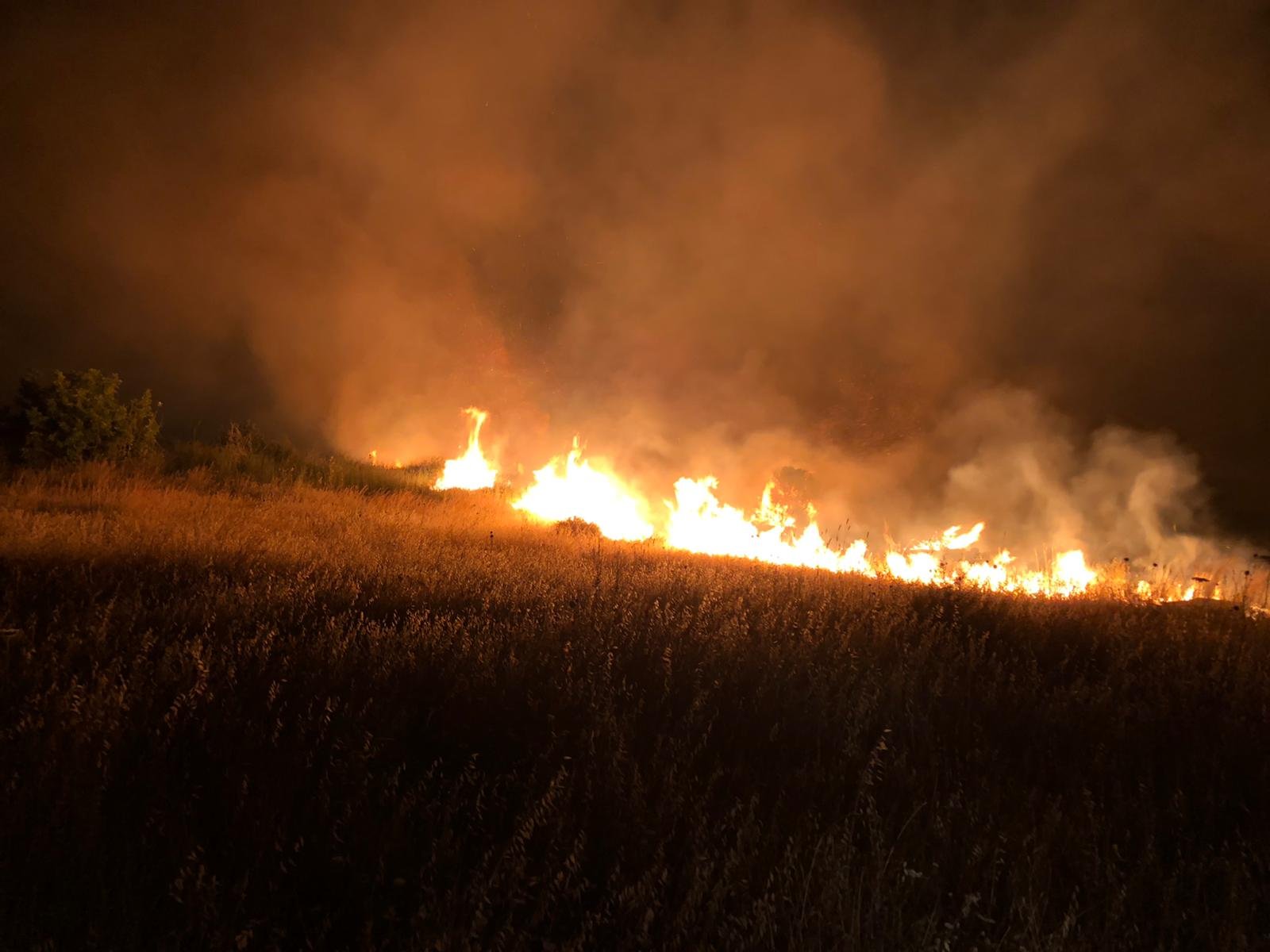 أم الفحم: اندلاع حريق في منطقة حرشية الليلة الماضية-2