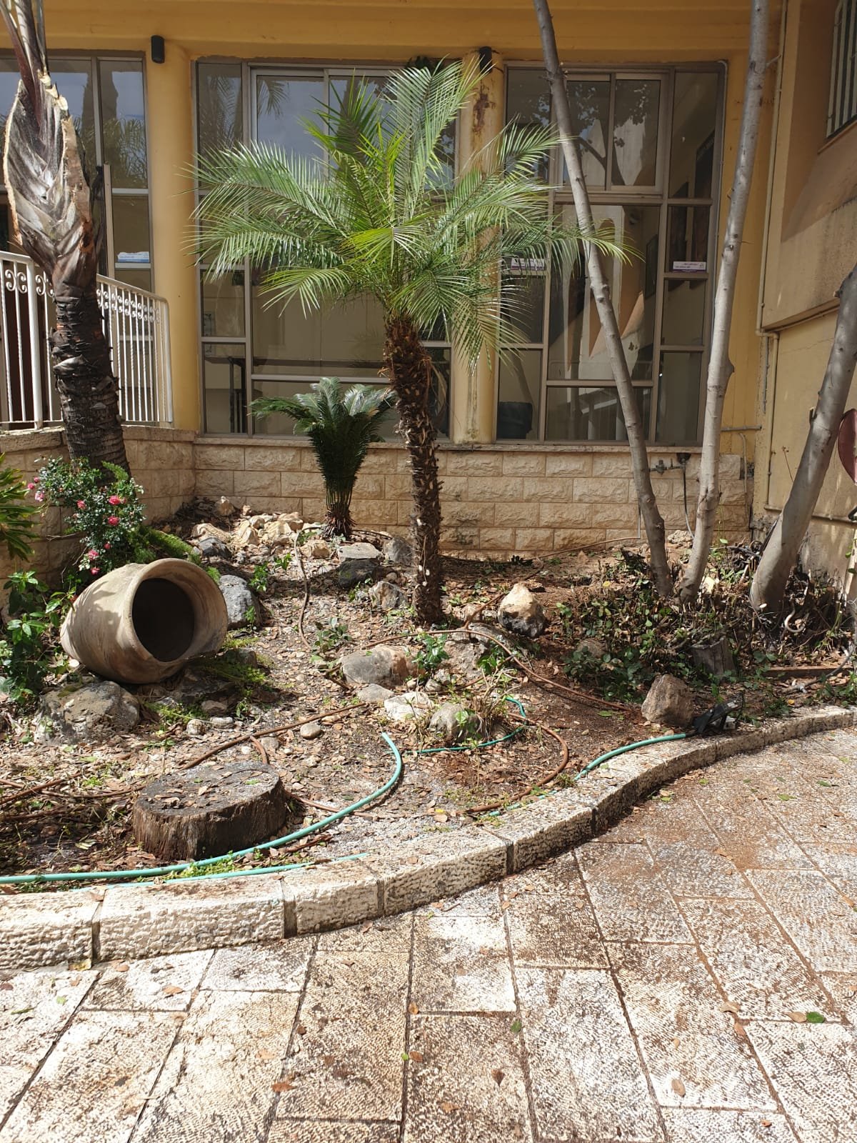 اعمال صيانة وتنظيف وبستنة في المركز الثفافي-محمود درويش-2