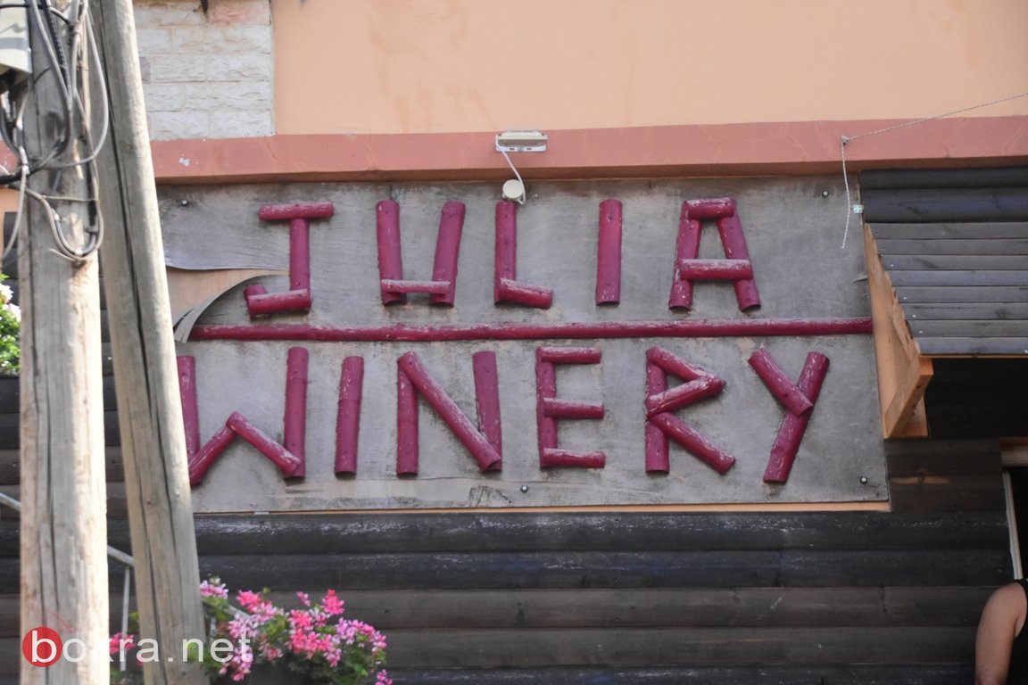 نبيذ جوليا .. فخر الصناعة المحلية الجليلية، كيف تحول من هواية إلى مهنة-4
