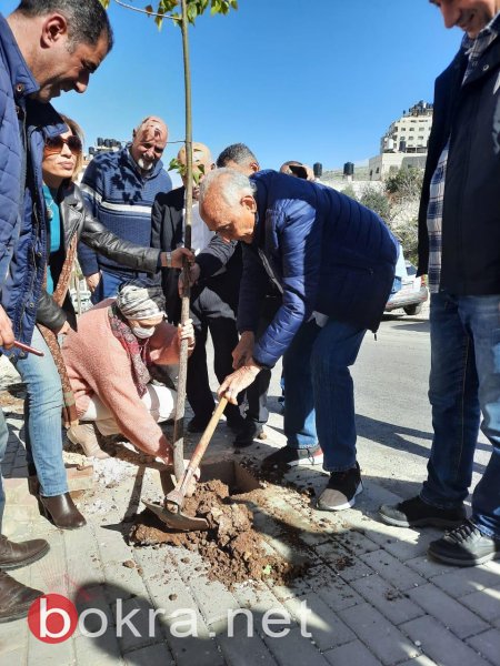 المصري يشارك الأهالي وبلدية نابلس زراعة الأشجار في حي رأس العين-0