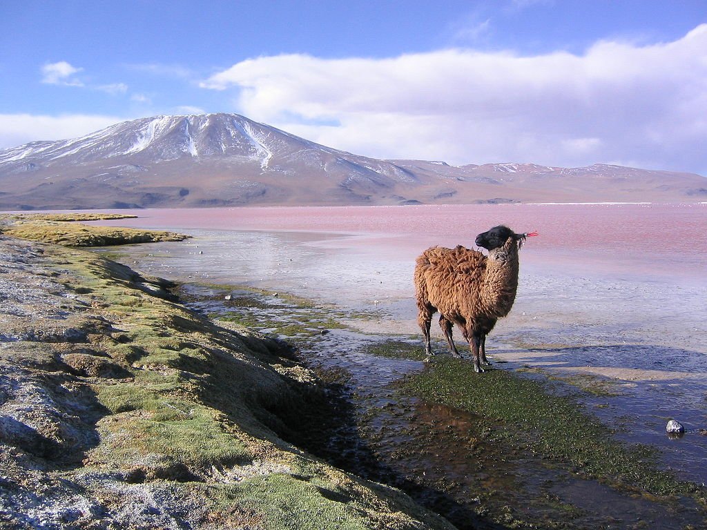 بوليفيا: العاصمة لا باز وجهة سياحية تستحق الزيارة-1