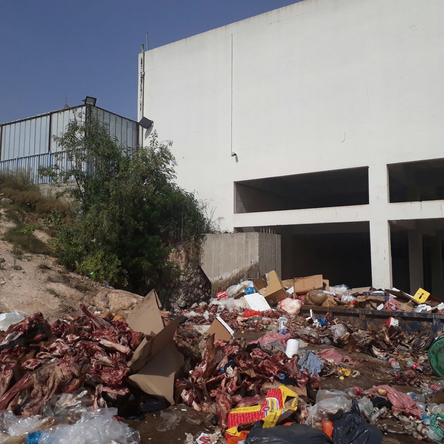 "المركزيّة" بحيفا تصدر قرارا يلزم بلدية شفاعمرو بتنظيف النفايات المتراكمة بجنب المسلخ البلدي-2