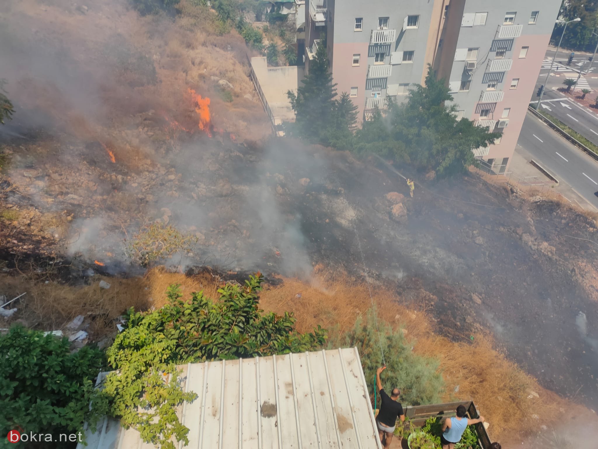 حيفا: اندلاع حريق قرب منازل-4