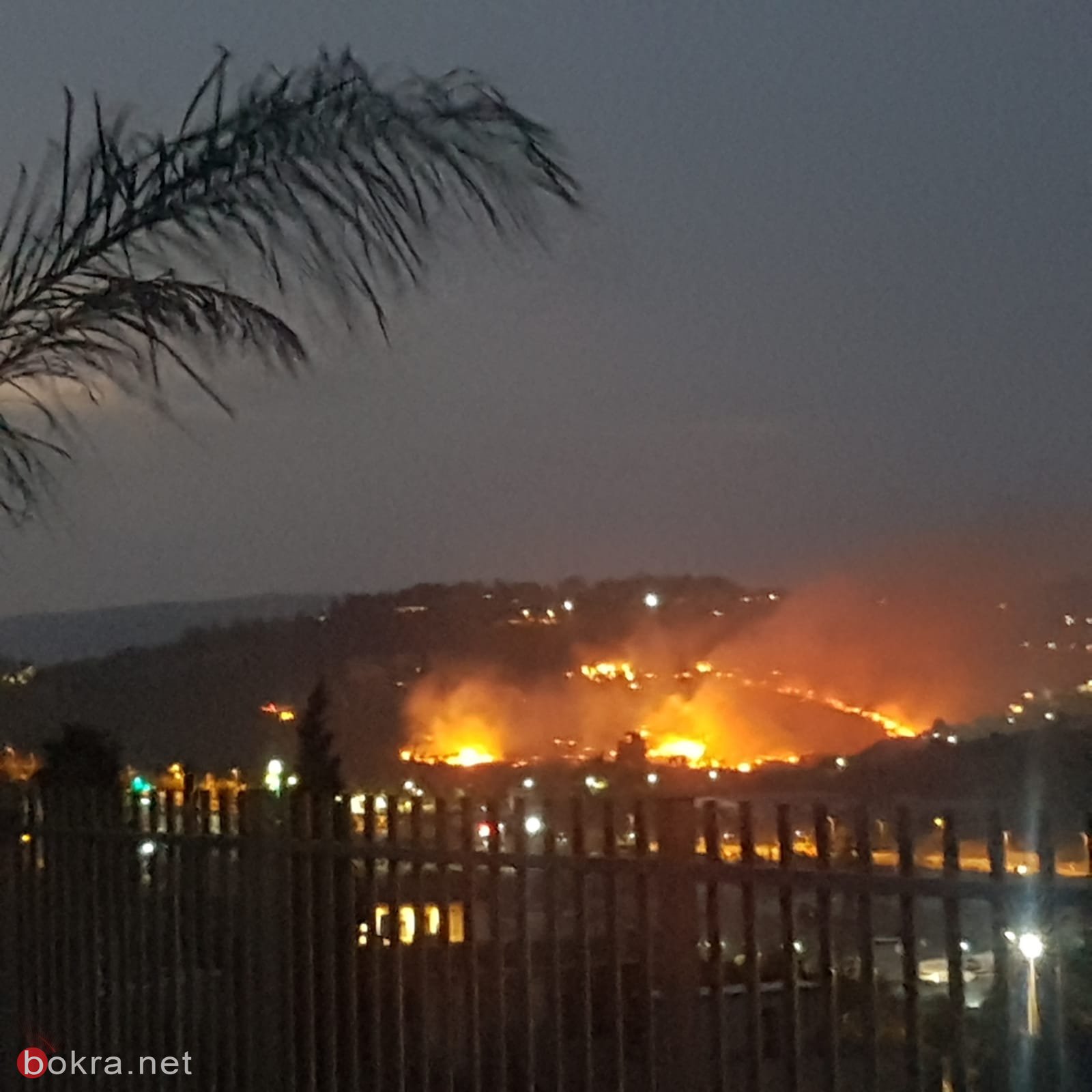 الحريق في ترشيحا- أندراوس: أضرار لكروم الزيتون والمصالح التجارية والأملاك!-6