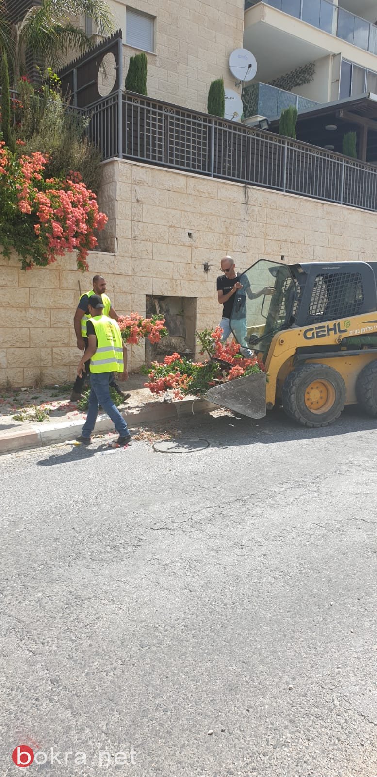 الناصرة: اعمال تنظيف وصيانة وقص شجر في حي الجليل-0