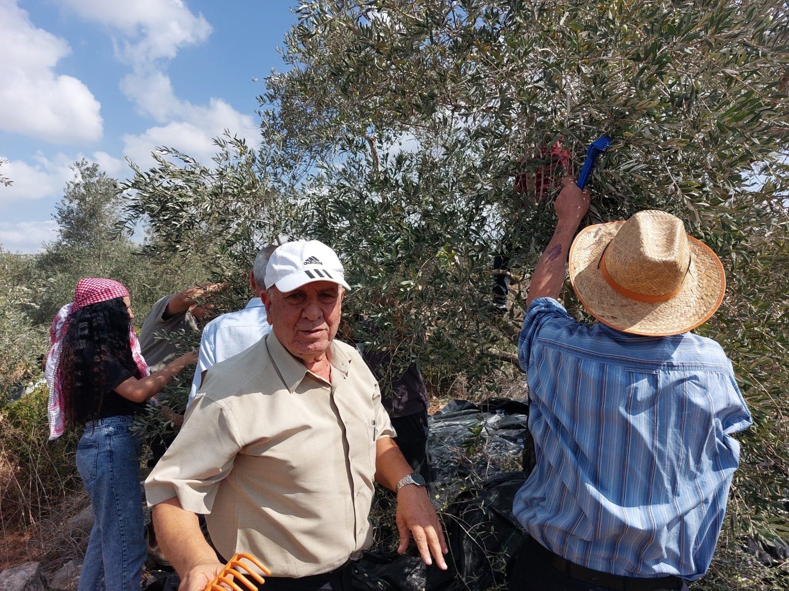 "حُرية" تنضم إلى حملة "لستم وحدكم" لمساندة صمود المزارعين الفلسطينيين في قطف الزيتون-2