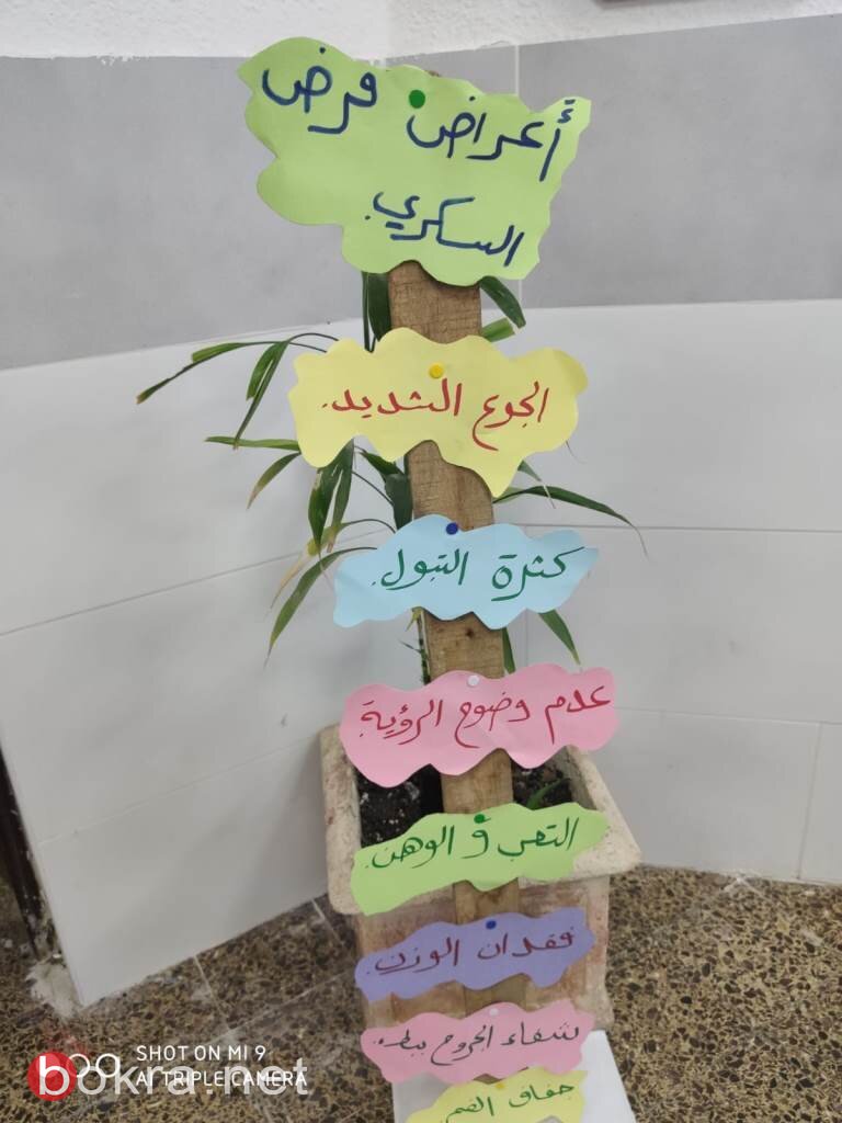 إعدادية الحديقة (أ) يافة الناصرة تتوج فعاليات اليوم العالمي للسكري بيوم قمة -11