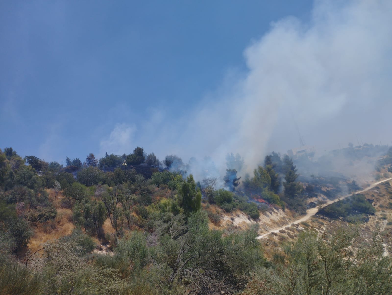 القدس :اندلاع حريق في منطقة اشواك في "هار هتصوفيم" .-0