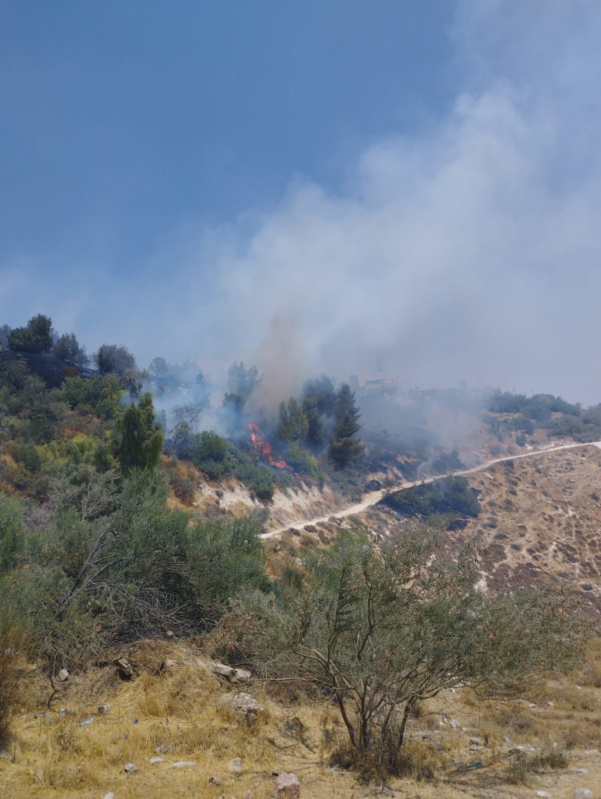القدس :اندلاع حريق في منطقة اشواك في "هار هتصوفيم" .-1