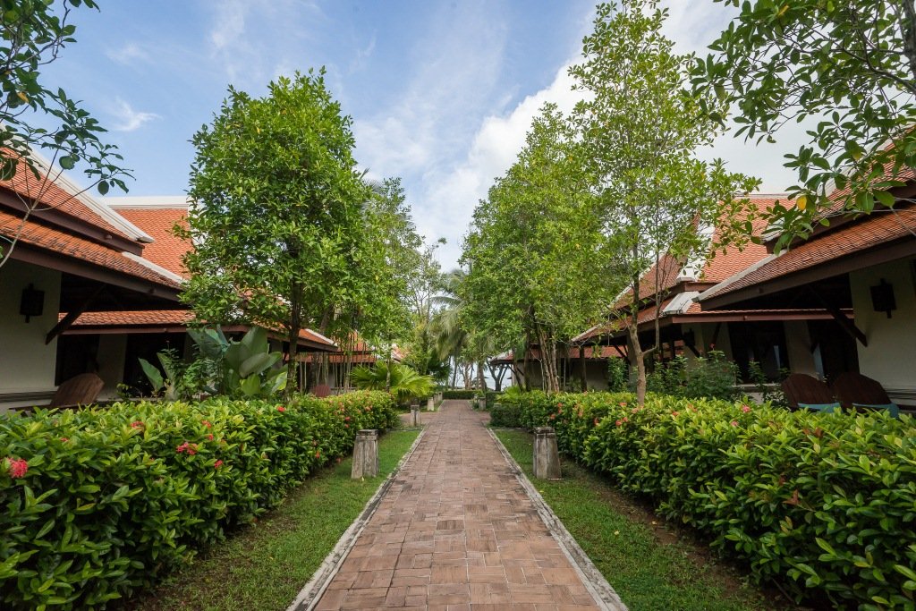 الكوا لاك تايلاند .. بين الأمازون الصغيرة والسباحة مع الفيلة وفخامة الفنادق .. محمية طبيعية من الجنة-82
