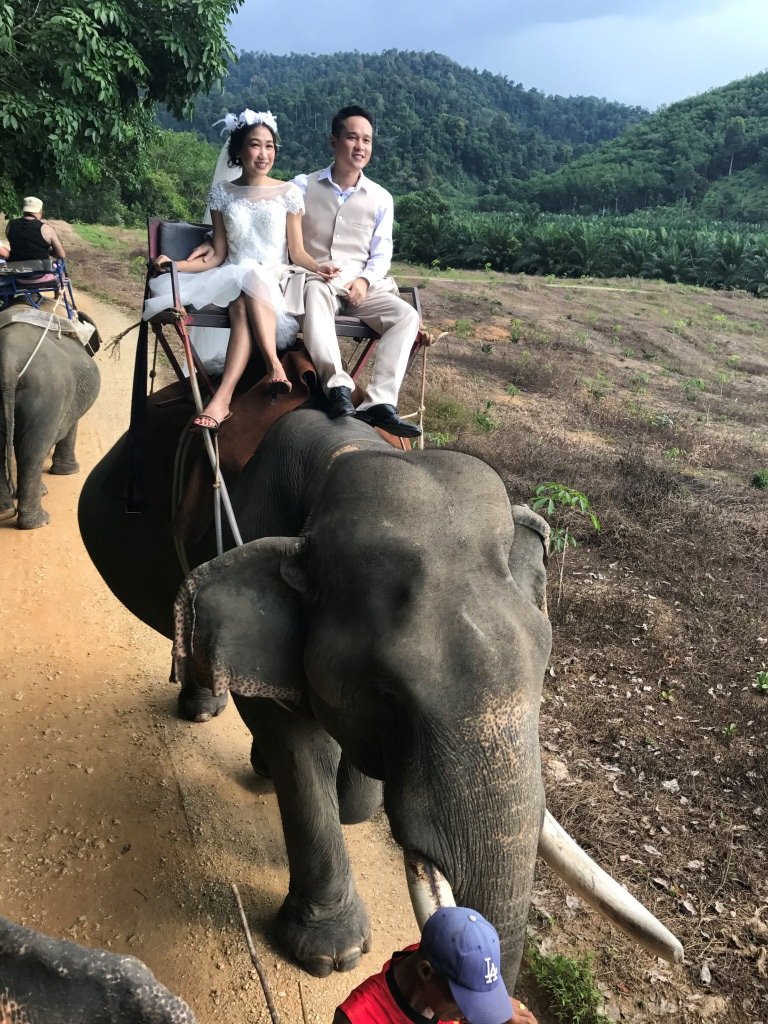 الكوا لاك تايلاند .. بين الأمازون الصغيرة والسباحة مع الفيلة وفخامة الفنادق .. محمية طبيعية من الجنة-104