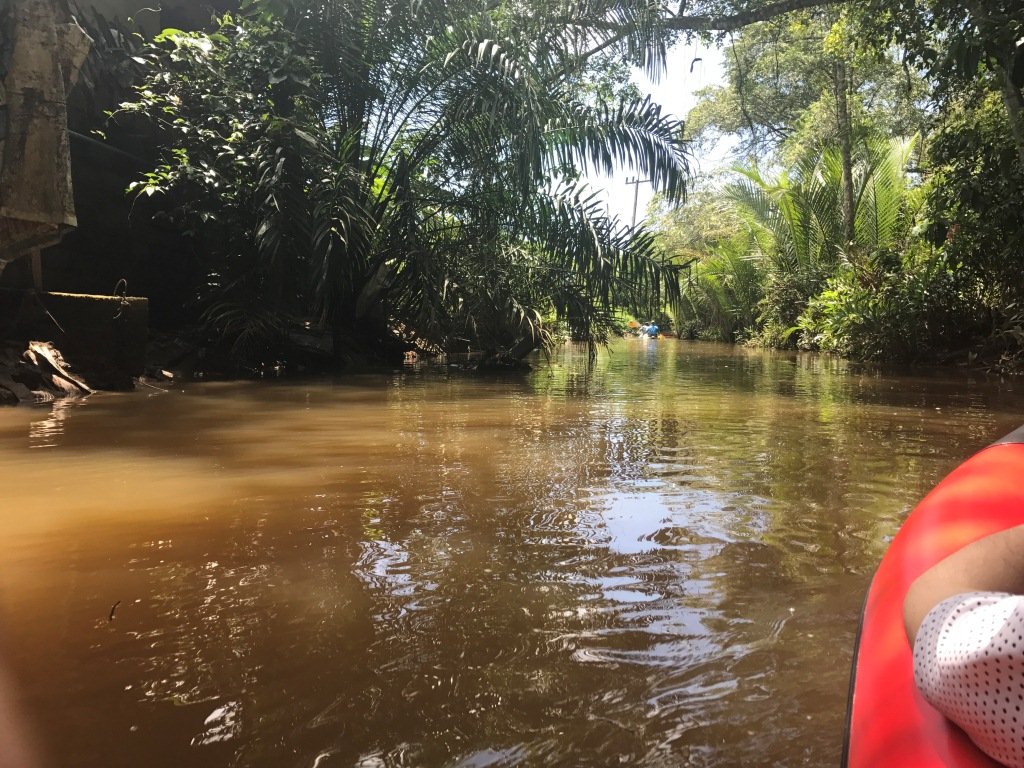 الكوا لاك تايلاند .. بين الأمازون الصغيرة والسباحة مع الفيلة وفخامة الفنادق .. محمية طبيعية من الجنة-216