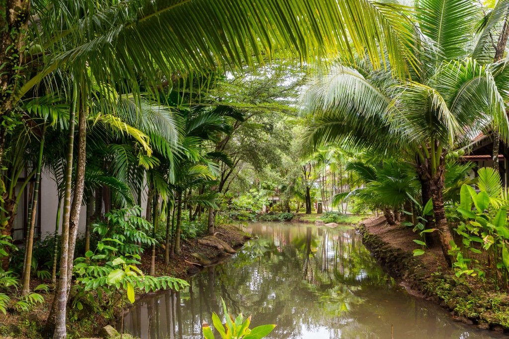 الكوا لاك تايلاند .. بين الأمازون الصغيرة والسباحة مع الفيلة وفخامة الفنادق .. محمية طبيعية من الجنة-233