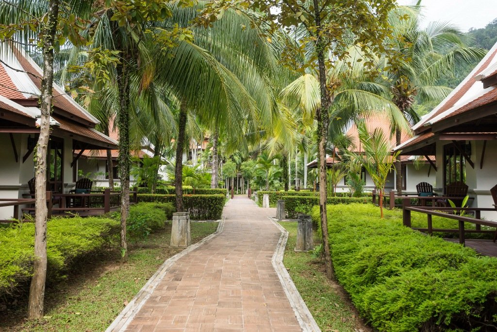 الكوا لاك تايلاند .. بين الأمازون الصغيرة والسباحة مع الفيلة وفخامة الفنادق .. محمية طبيعية من الجنة-289