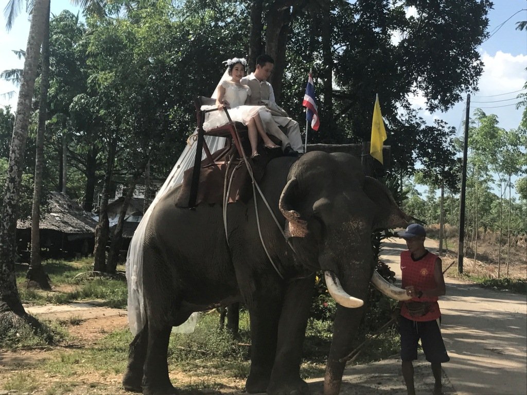 الكوا لاك تايلاند .. بين الأمازون الصغيرة والسباحة مع الفيلة وفخامة الفنادق .. محمية طبيعية من الجنة-294
