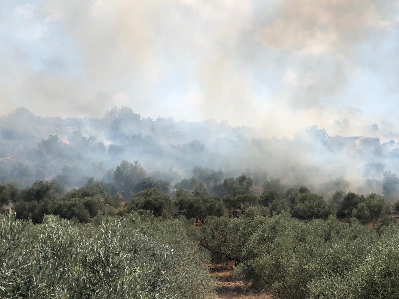 النيران تأتي على نحو 1000 دونم من الأراضي في منطقة الجليل الغربي-0