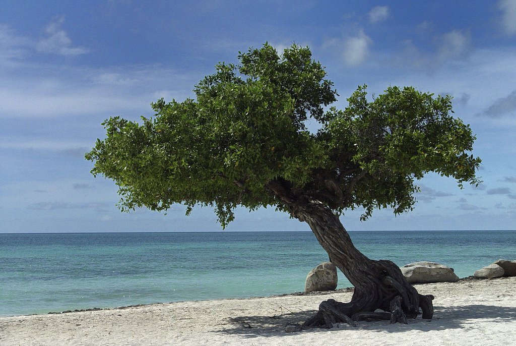 تعرفوا على افضل 4 شواطئ ساحرة في الكاريبي-2