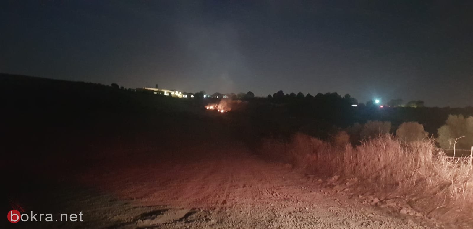 اندلاع حريق في منطقة حرشية قرب بسمة طبعون-2