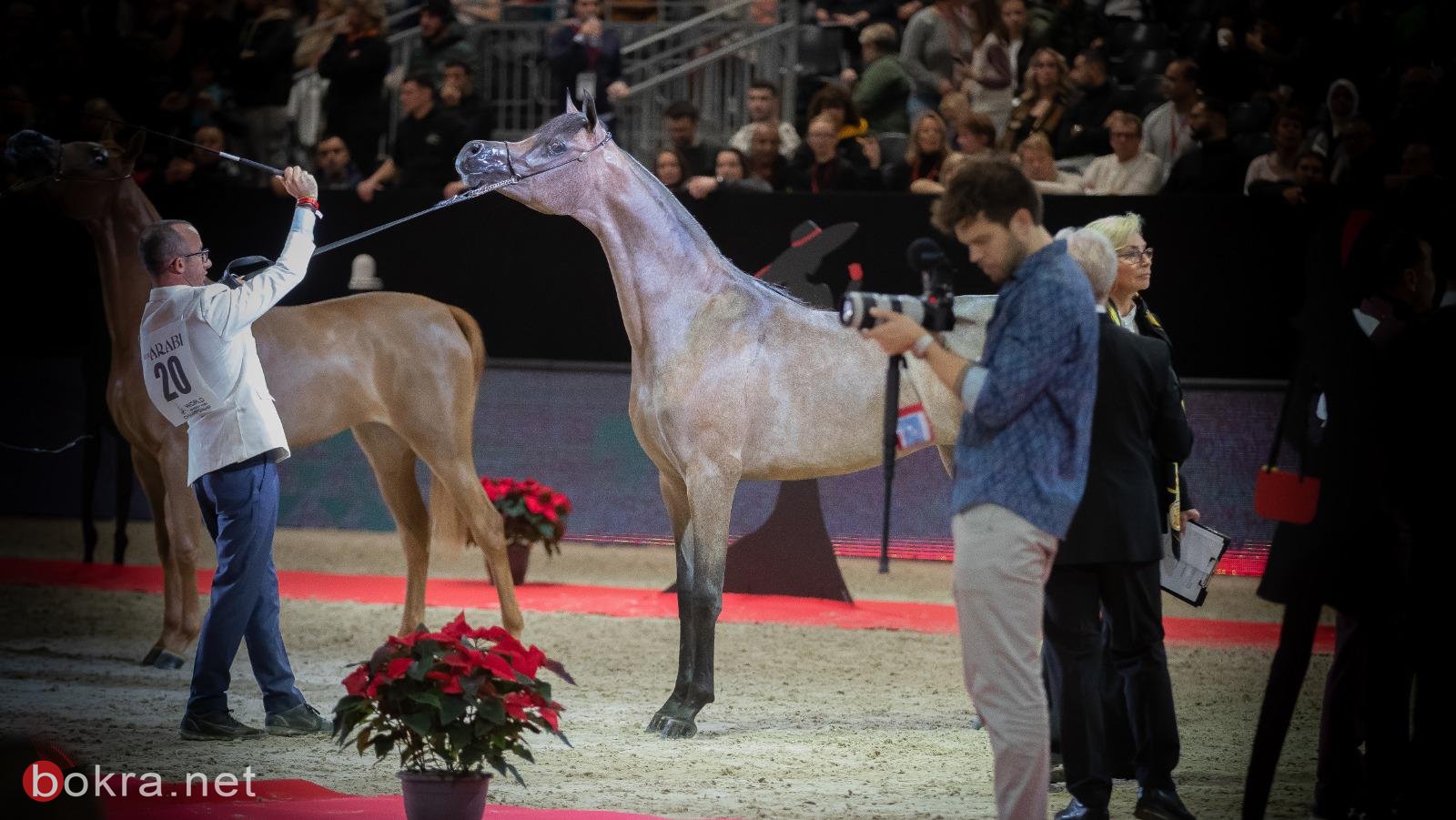للمرة الرابعة على التوالي محمد الشيخ سليمان يحصد بطولة العالم لجمال الخيول-11