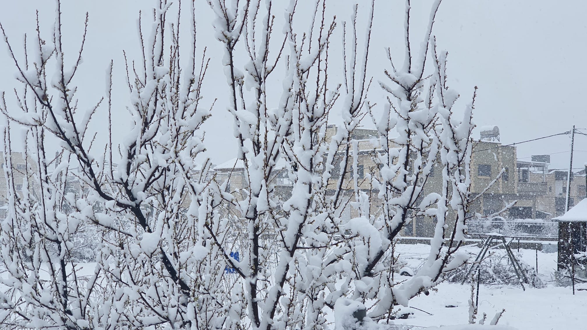 بالصور والفيديو .. الثلوج تغطي الجولان في آذار وإغلاق عدد من الشوارع-1