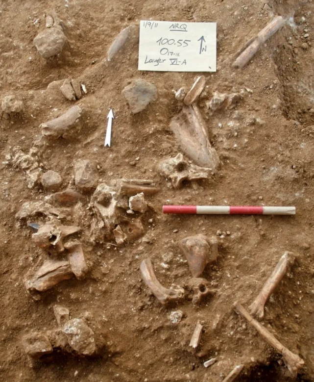 قرب الرملة: اكتشاف سلالة جديدة من الإنسان القديم عاش قبل 120 ألف سنة-0