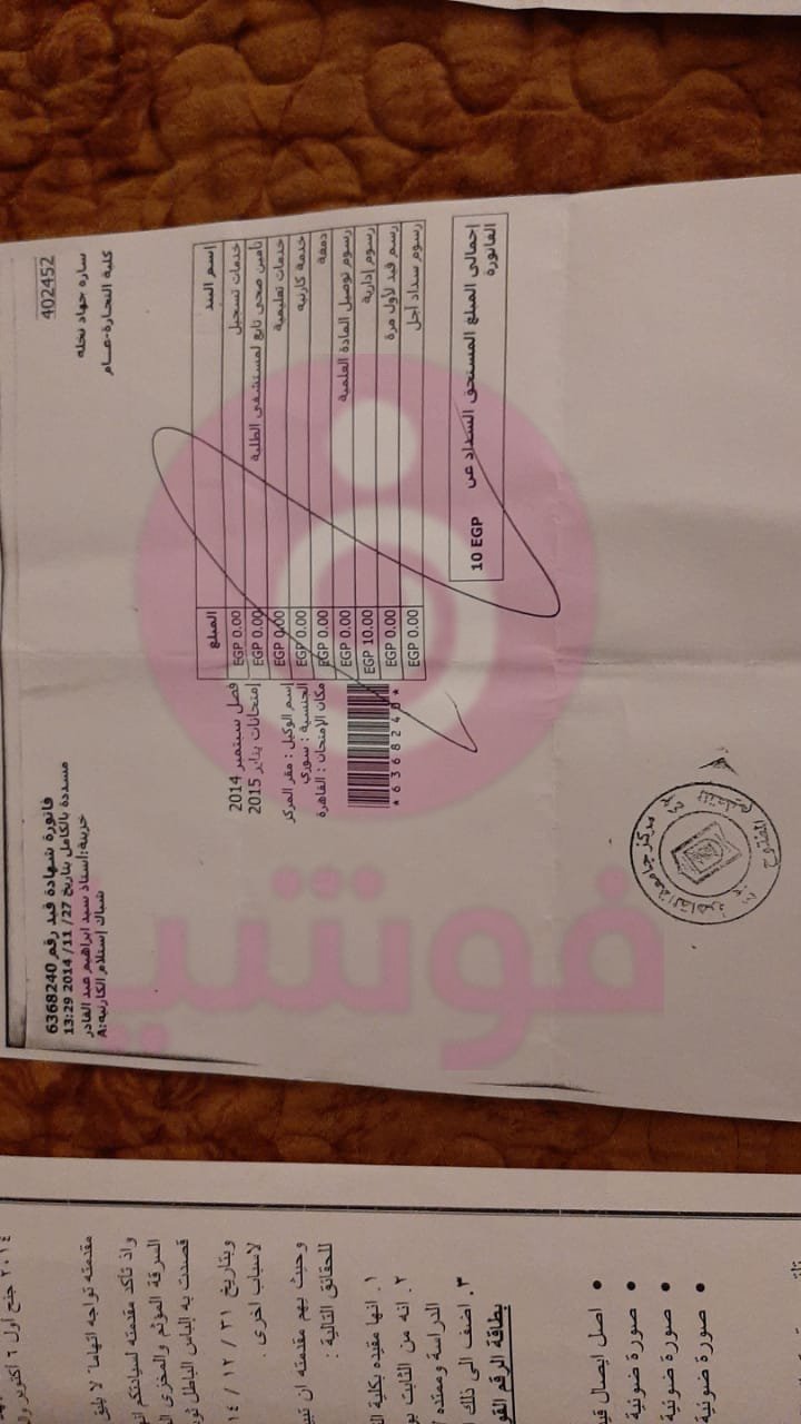 سارة نخلة مُتهمة بالسرقة والكذب بخصوص شهادتها الجامعية.. مستندات صادمة-3